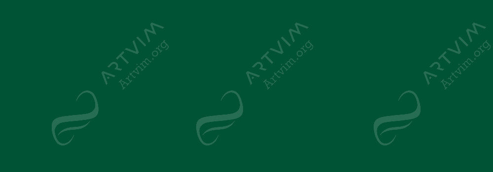 ROYAL TALENS : AMSTERDAM STANDARD ACRYLIC PAINT PERMANENT GREEN DEEP