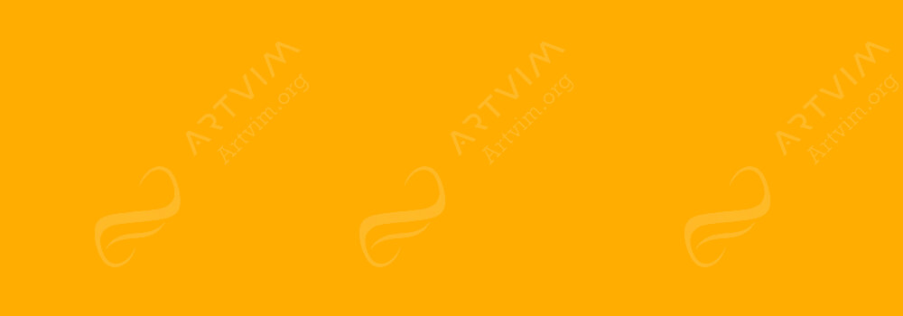 VALLEJO : FLUID ARTIST ACRYLIC PAINT TRANSPARENT ORANGE