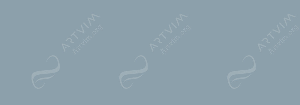 COPIC : CIAO MARKER COOL GREY NO.5