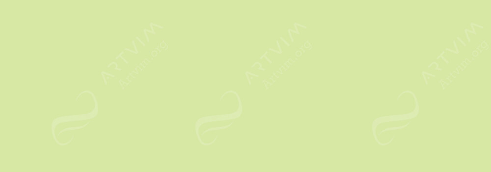 COPIC : CIAO MARKER YELLOW GREEN