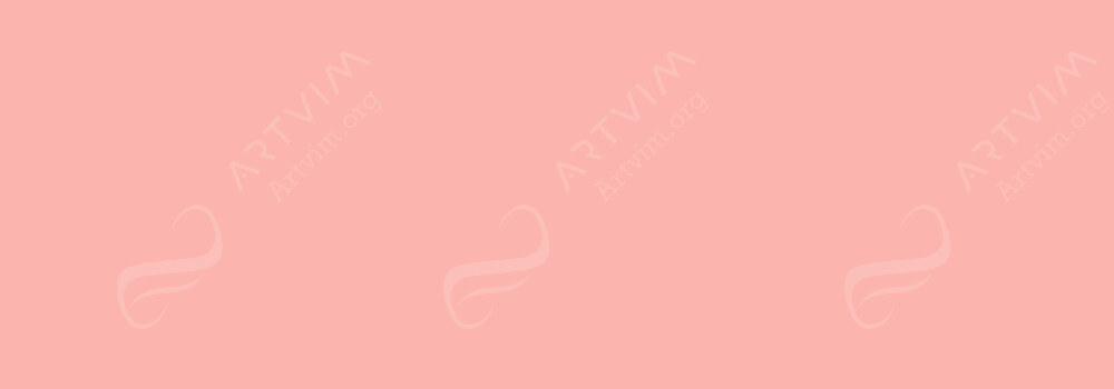 COPIC : CIAO MARKER LIGHT PRAWN