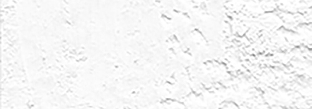 HOLBEIN : ARTISTS' OIL PASTELS WHITE