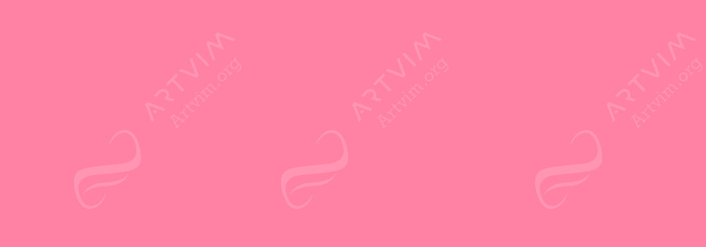 CARAN D'ACHE : FIBRALO WATERSOLUBLE BRUSH PENS PINK