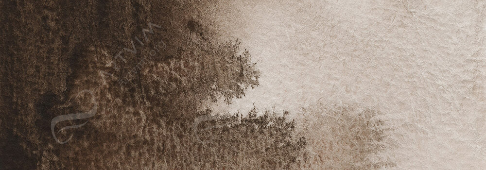 JACKSON'S : ARTIST WATERCOLOUR PAINT WARM SEPIA