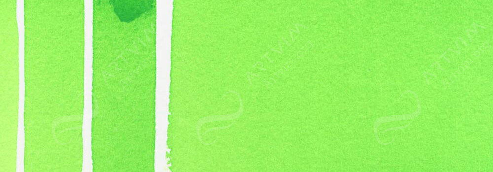 DANIEL SMITH : EXTRA FINE WATERCOLOUR PAINT PHTHALO YELLOW GREEN