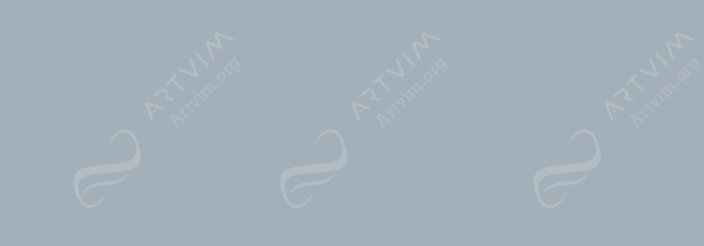 CARAN D'ACHE : CLASSIC NEOCOLOR I LIGHT GREY