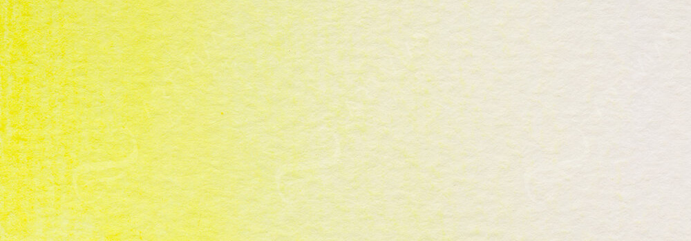HOLBEIN : WATERCOLOUR PENCILS LEMON YELLOW