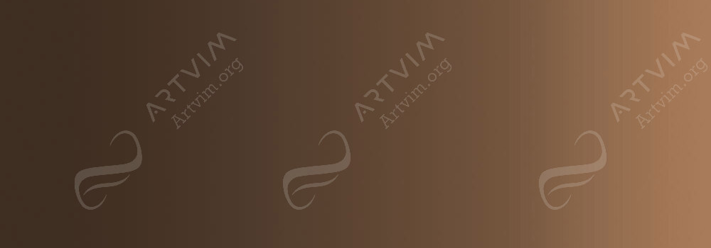 DR PH. MARTIN'S : HYDRUS LIQUID WATERCOLOUR PAINT BURNT UMBER