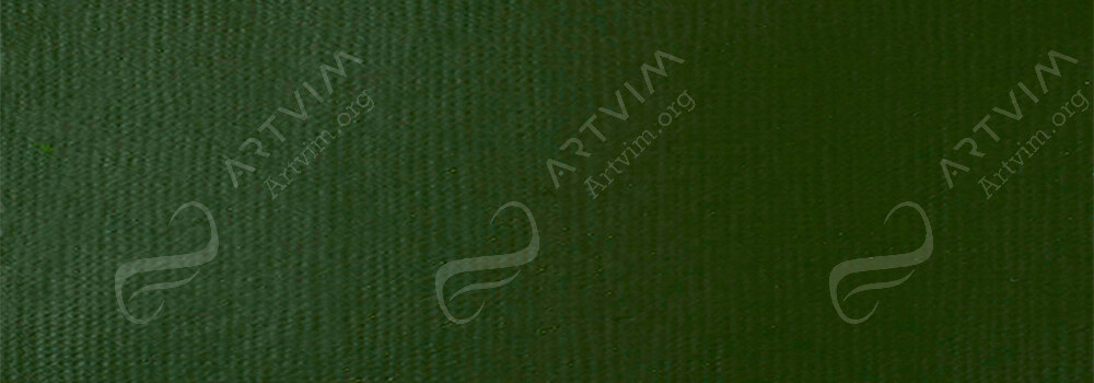 LIQUITEX : PROFESSIONAL HEAVY BODY ACRYLIC PAINT HOOKER'S GREEN HUE