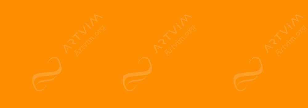 CARAN D'ACHE : NEOART 6901 OIL PASTEL ORANGE