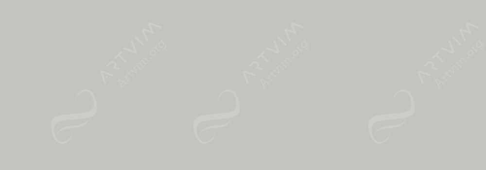 CARAN D'ACHE : PASTEL PENCILS FRENCH GREY 10 PERCENT