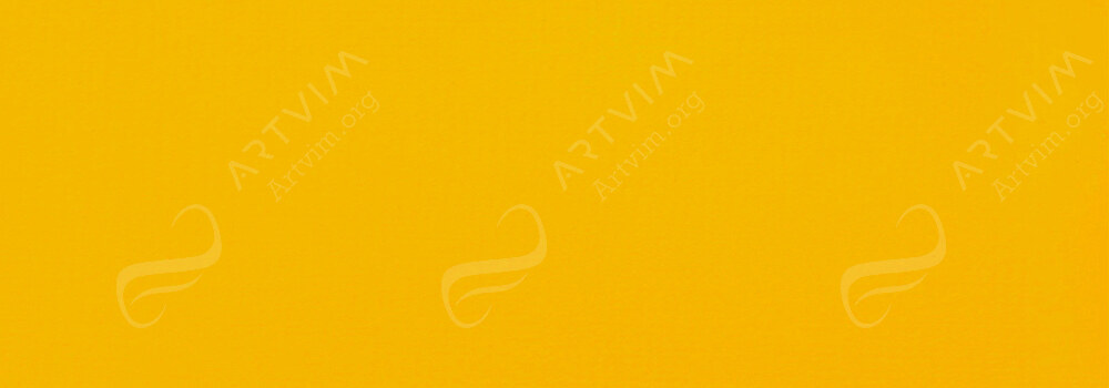 LIQUITEX : PROFESSIONAL ACRYLIC GOUACHE CADMIUM-FREE YELLOW LIGHT