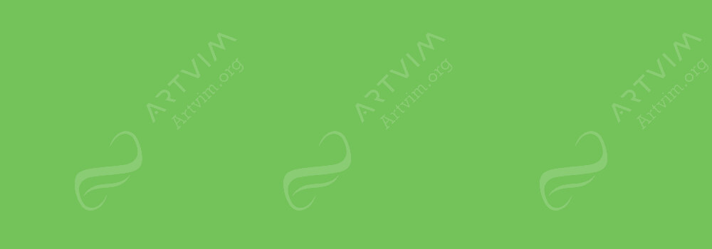 FABER-CASTELL : POLYCHROMOS PENCILS GRASS GREEN