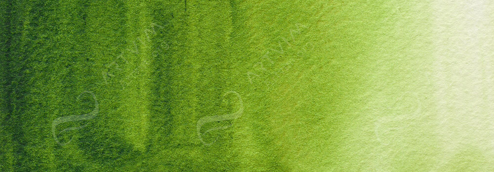 HOLBEIN : ARTISTS' WATERCOLOUR PAINT SAP GREEN