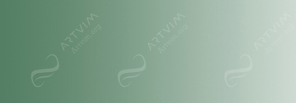 DERWENT : INKTENSE PENCIL HOOKERS GREEN