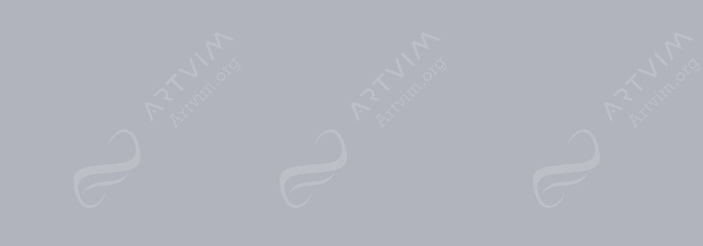 DERWENT : COLOURSOFT PENCILS DOVE GREY