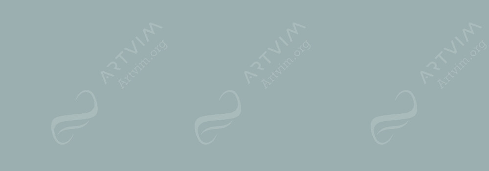 CARAN D'ACHE : PABLO PENCILS SILVER 498