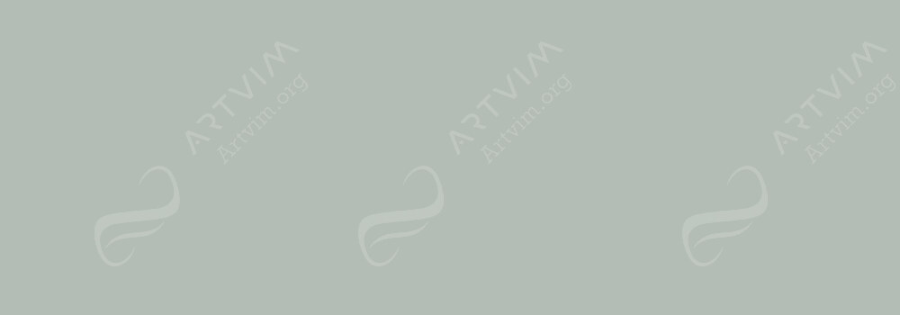 COPIC : CIAO MARKER GREEN GREY