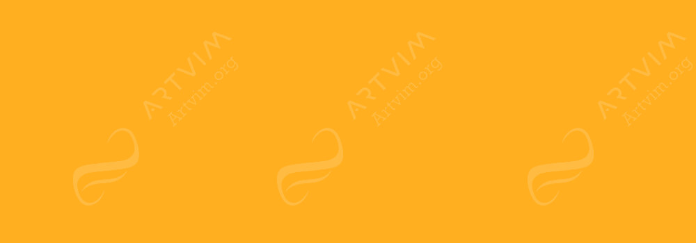 FABER-CASTELL : PITT ARTISTS PEN DUAL MARKERS DARK CHROME YELLOW