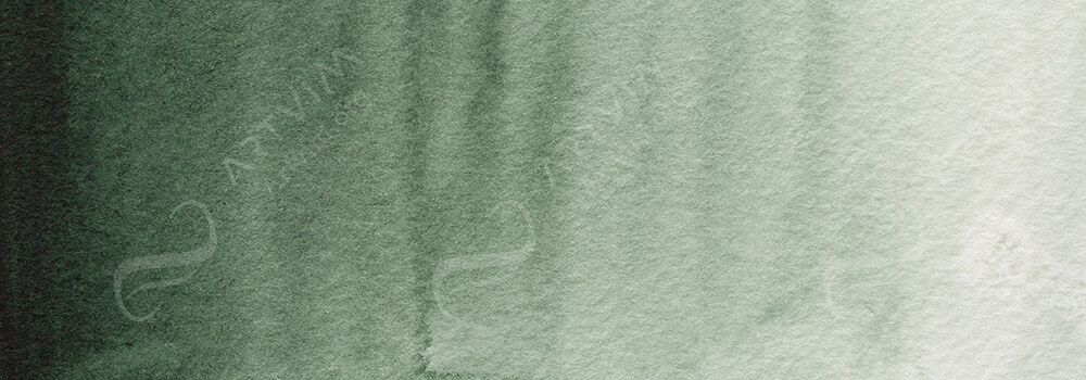 HOLBEIN : ARTISTS' WATERCOLOUR PAINT SHADOW GREEN