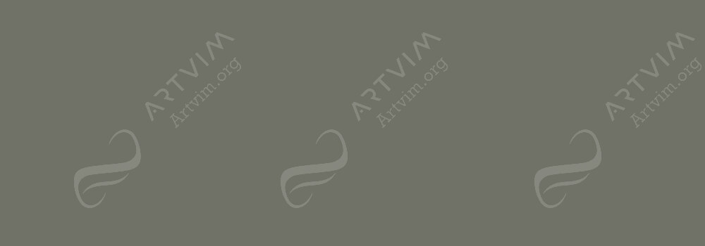 DERWENT : LIGHTFAST COLOUR PENCIL OLIVE EARTH