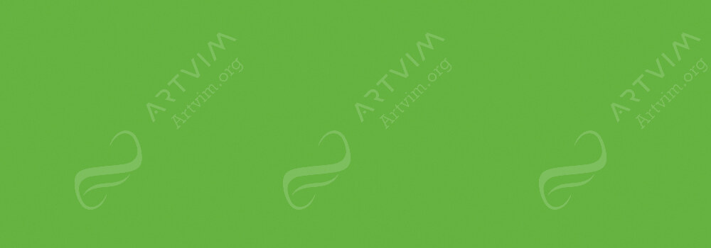 CARAN D'ACHE : FIBRALO WATERSOLUBLE BRUSH PENS YELLOW GREEN