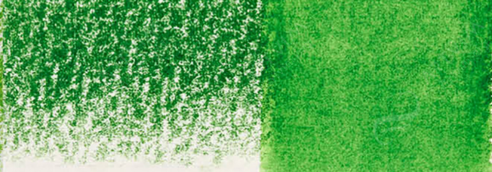 DERWENT : INKTENSE PENCIL JUNGLE GREEN