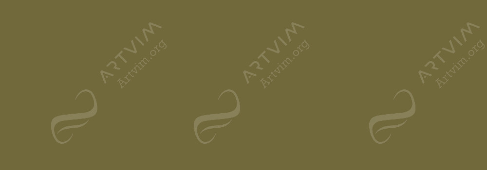 CARAN D'ACHE : NEOCOLOR II ARTISTS' WATERCOLOUR CRAYONS OLIVE BROWN