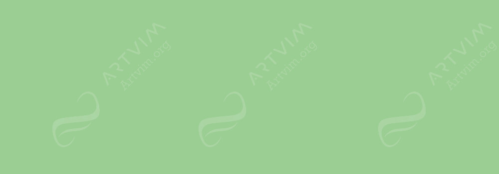 DALER ROWNEY : ARTISTS' SOFT PASTELS GRASS GREEN 2