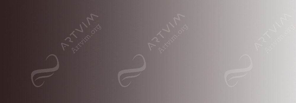 DERWENT : WATERCOLOUR PENCILS CHOCOLATE