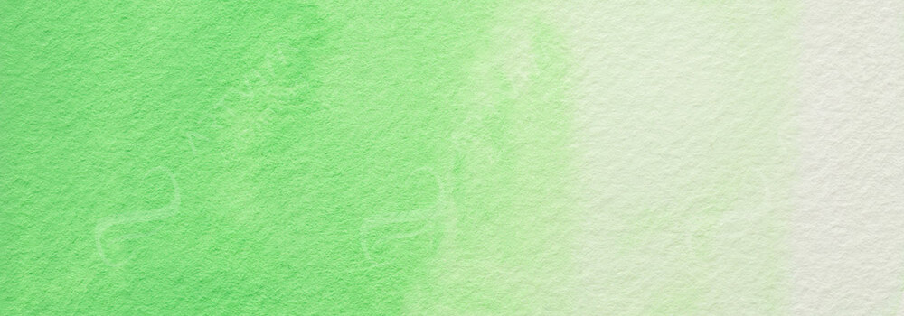 HOLBEIN : ARTISTS' WATERCOLOUR PAINT COMPOSE GREEN