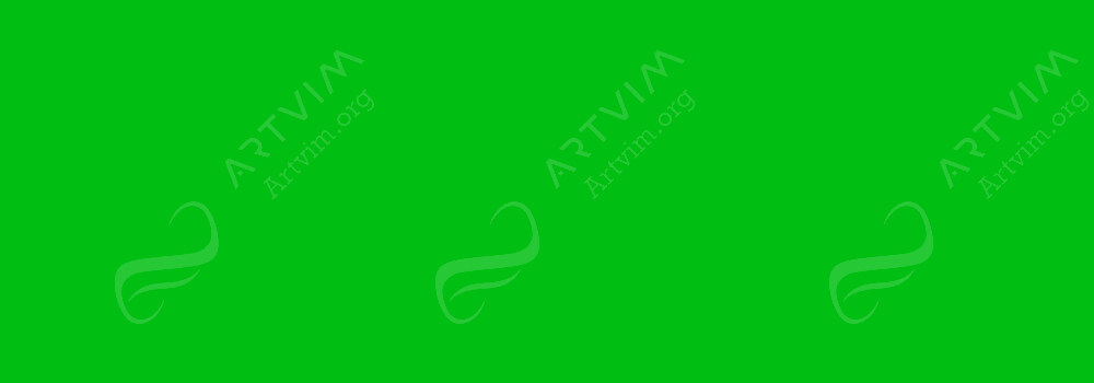 FABER-CASTELL : PITT ARTISTS PEN DUAL MARKERS LEAF GREEN