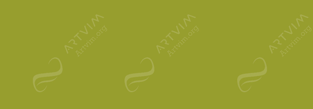 AKASHIYA : SAI COLOURING BRUSH PENS MOSS GREEN