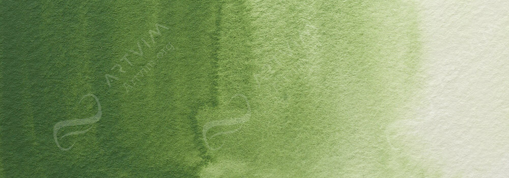 HOLBEIN : ARTISTS' WATERCOLOUR PAINT TERRE VERTE