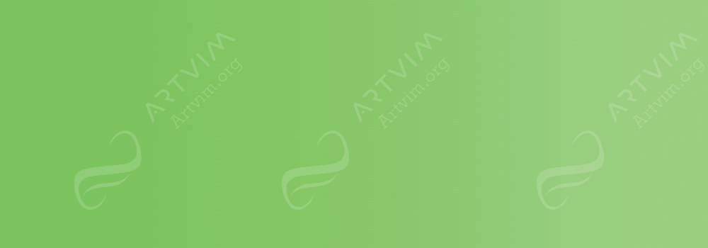 DR PH. MARTIN'S : RADIANT WATERCOLOUR DYE GRASS GREEN