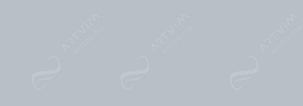 CARAN D'ACHE : SUPRACOLOR SOFT WATERSOLUBLE ARTIST'S PENCILS SILVER