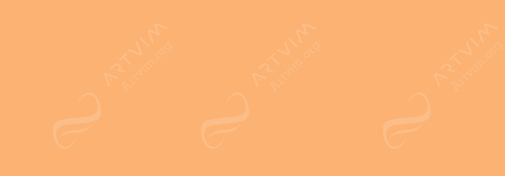 FABER-CASTELL : PITT ARTIST BRUSH PEN ORANGE GLAZE