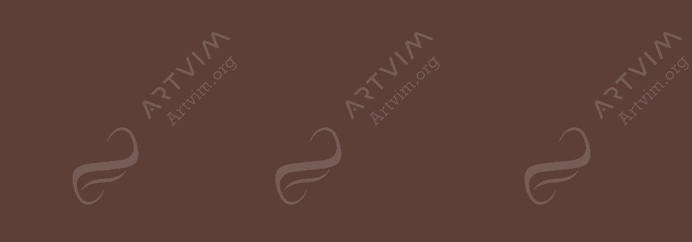 CARAN D'ACHE : NEOCOLOR II ARTISTS' WATERCOLOUR CRAYONS TOLEDO BROWN