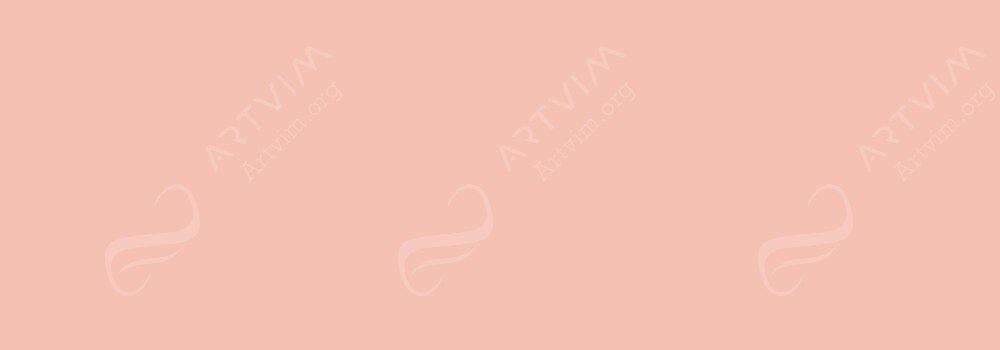 LIQUITEX : PROFESSIONAL ACRYLIC GOUACHE LIGHT PORTRAIT PINK