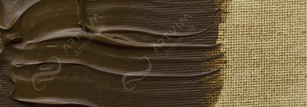 JACKSON'S : PROFESSIONAL ACRYLIC PAINT RAW UMBER