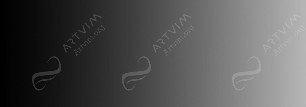 DERWENT : INKTENSE PENCIL INK BLACK