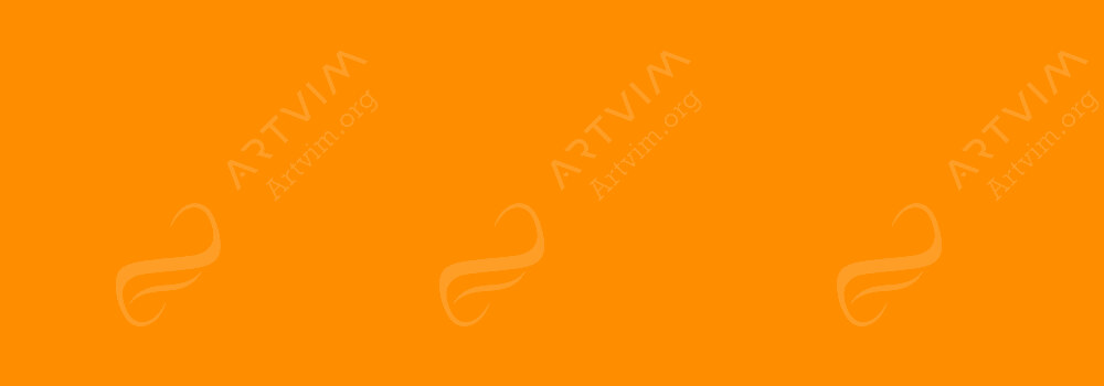 CARAN D'ACHE : PABLO PENCILS FAST ORANGE 300