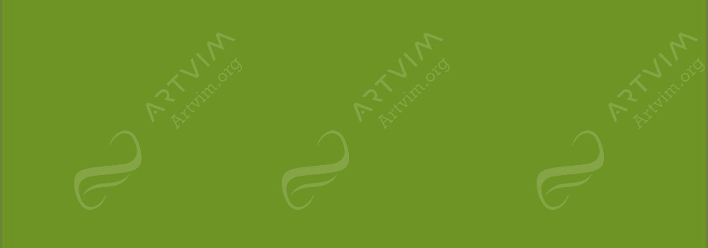 CARAN D'ACHE : PABLO PENCILS KHAKI GREEN 016