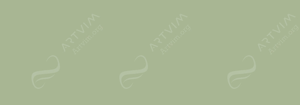 DERWENT : DRAWING PENCILS GREEN SHADOW