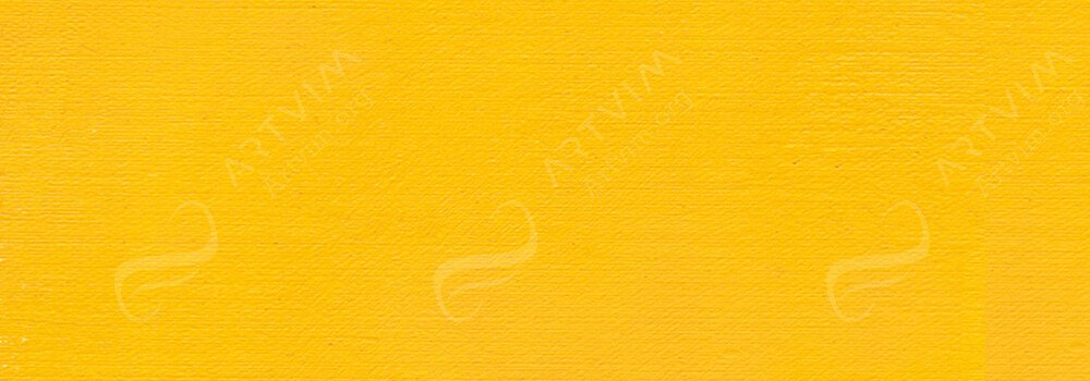ISARO : OIL PAINT CADMIUM YELLOW LIGHT