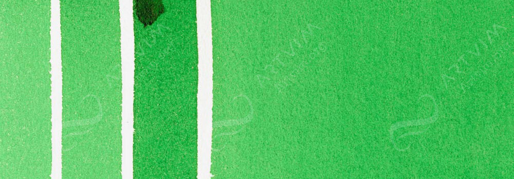 DANIEL SMITH : EXTRA FINE WATERCOLOUR PAINT PHTHALO GREEN (YELLOW SHADE)