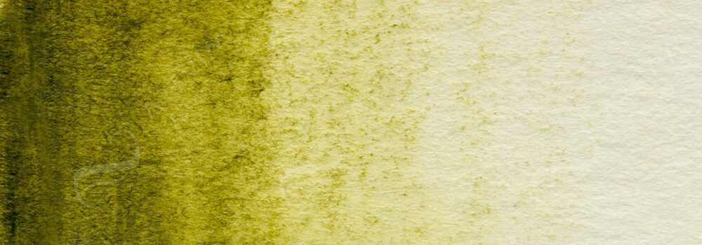 DERWENT : GRAPHITINT PENCIL IVY