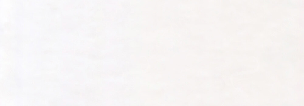 HOLBEIN : HEAVY BODY ACRYLIC PAINT ZINC WHITE