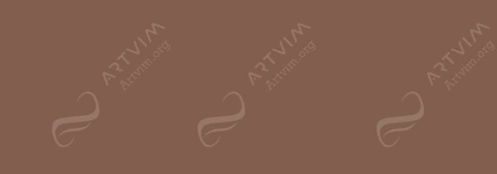 COPIC : CIAO MARKER MAROON