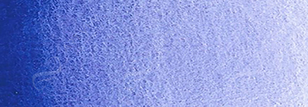 ISARO : WATERCOLOUR PAINT AGAPANTHE BLUE